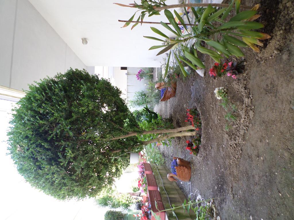 Hotel Dioni Paralia Katerinis Exterior photo