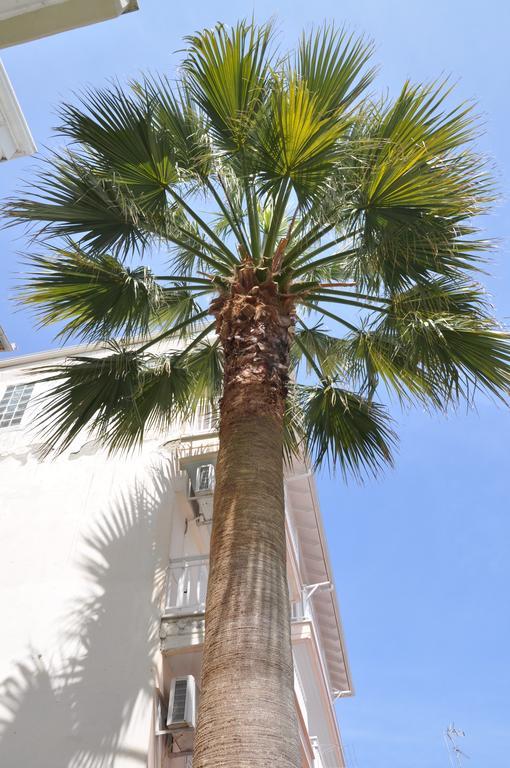Hotel Dioni Paralia Katerinis Exterior photo