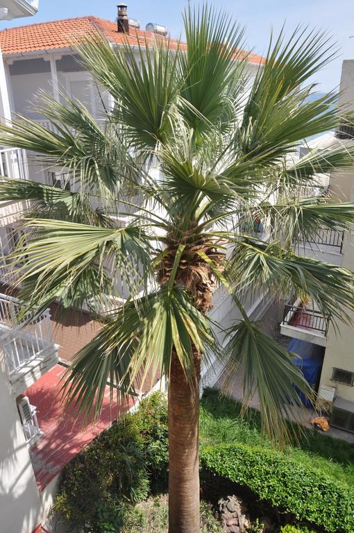 Hotel Dioni Paralia Katerinis Exterior photo